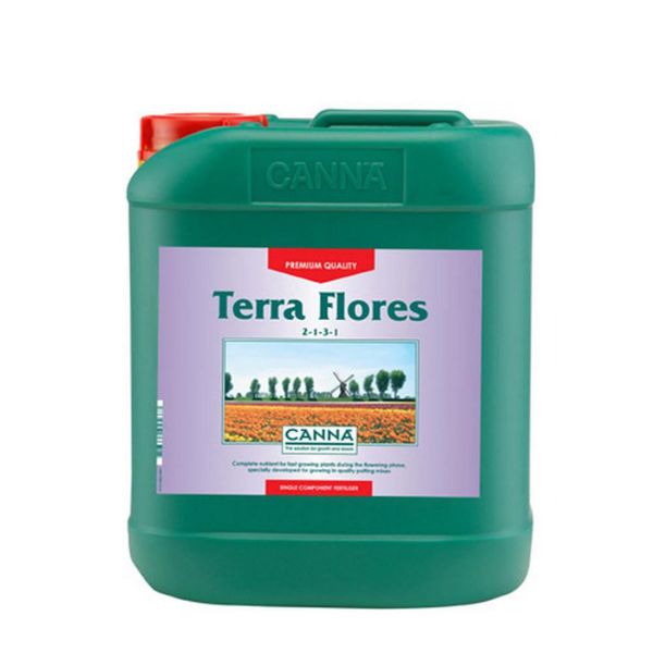 Canna Terra Flores
