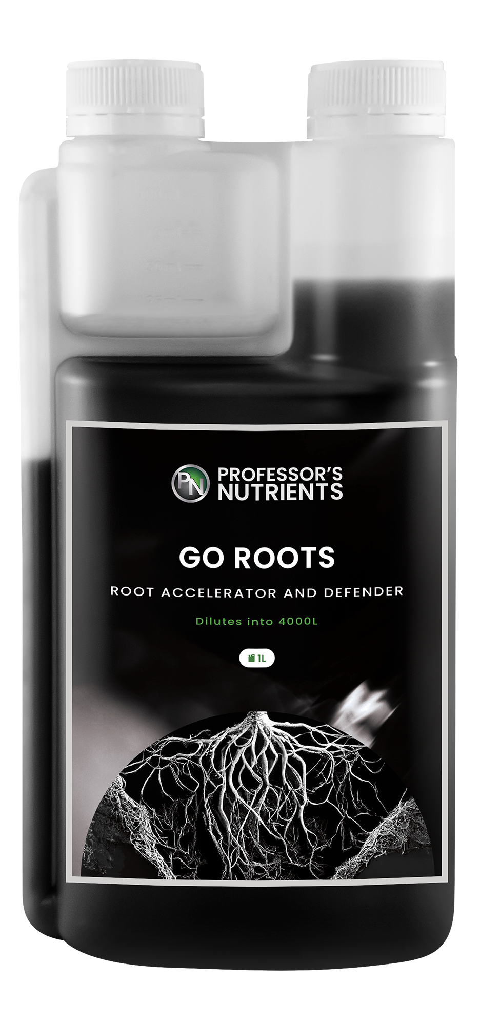 Professor's Go Roots