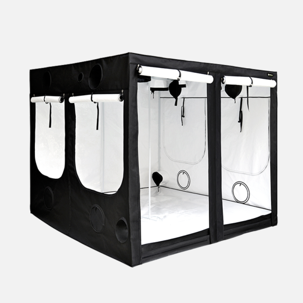HOMEbox Evolution Q240