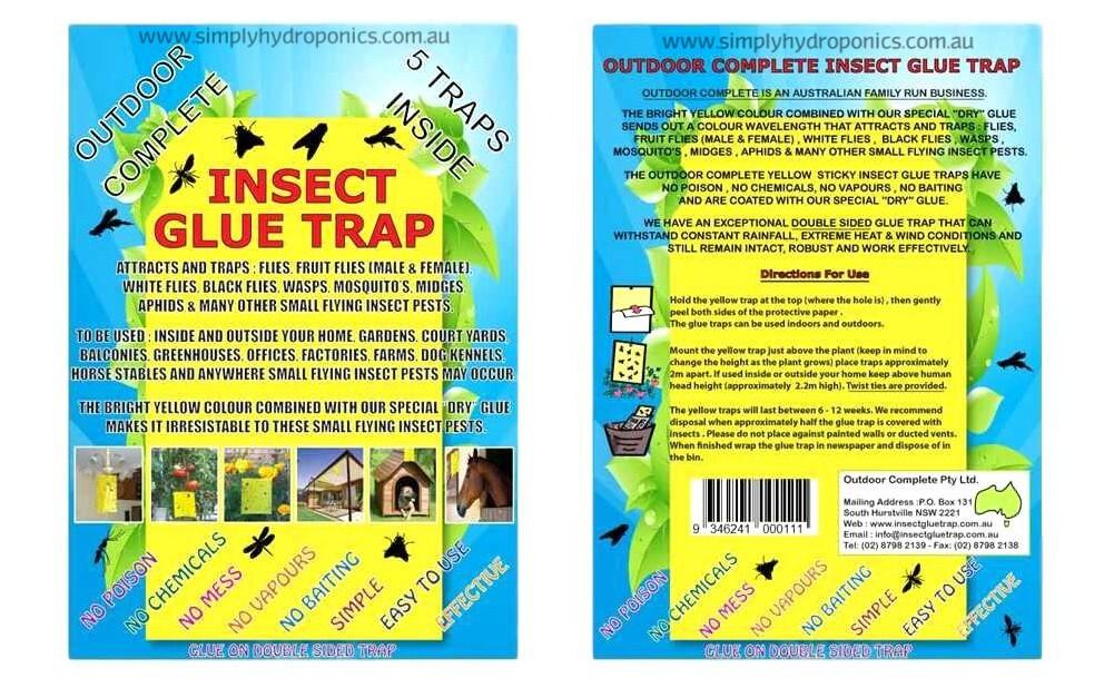 Insect Glue Traps