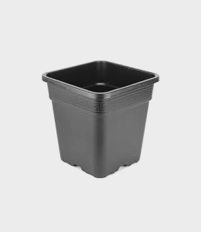 Wilma Stand Alone Pot