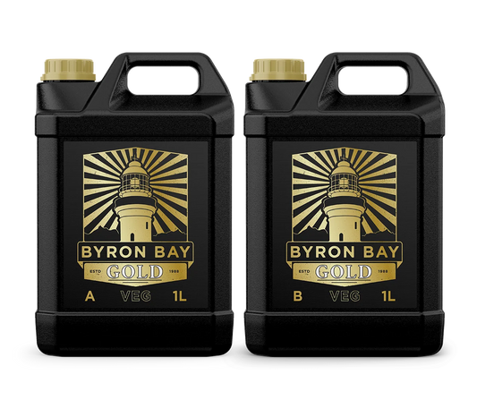 BYRON BAY GOLD VEGETATIVE A+B