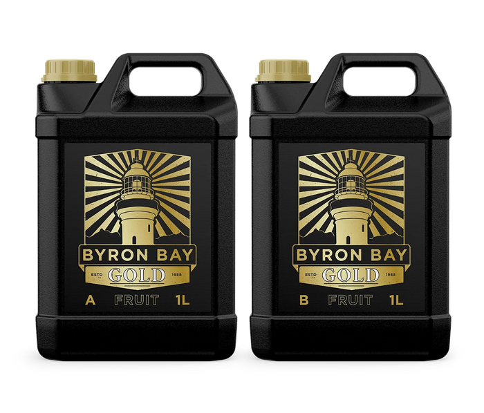 Byron Bay Gold