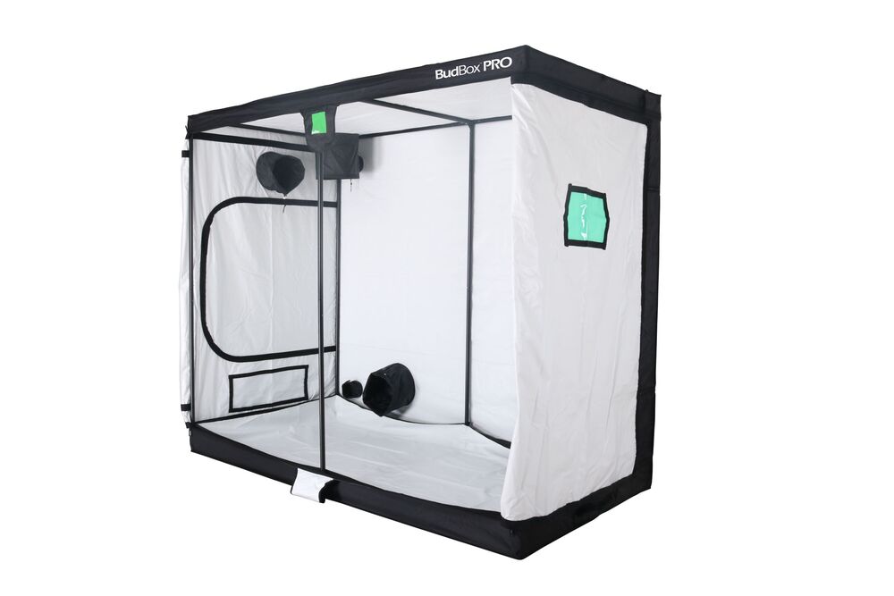 Budbox Pro White Tent