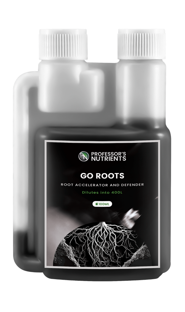 Professor's Go Roots