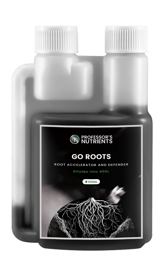 Professor's Go Roots