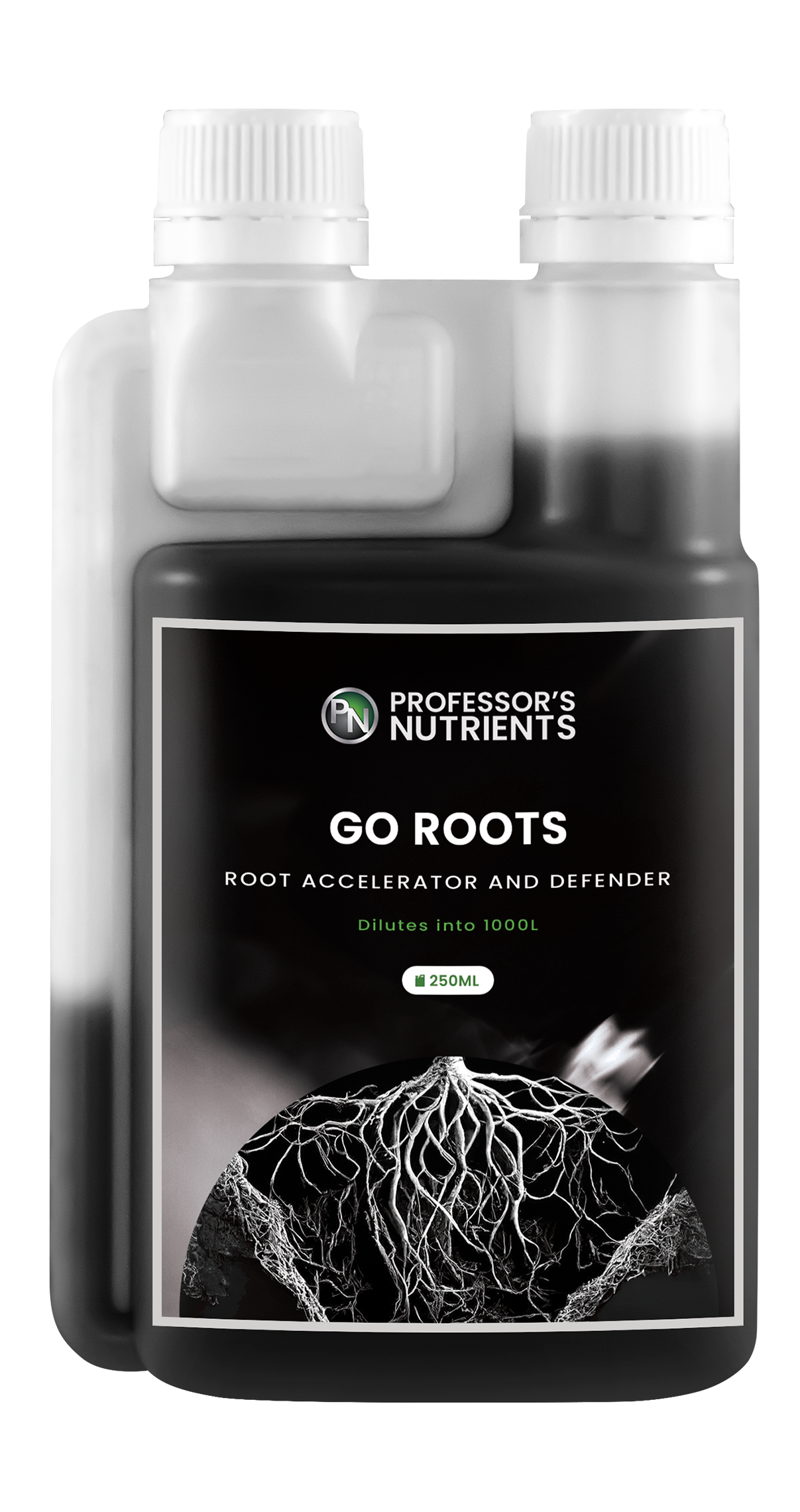 Professor's Go Roots