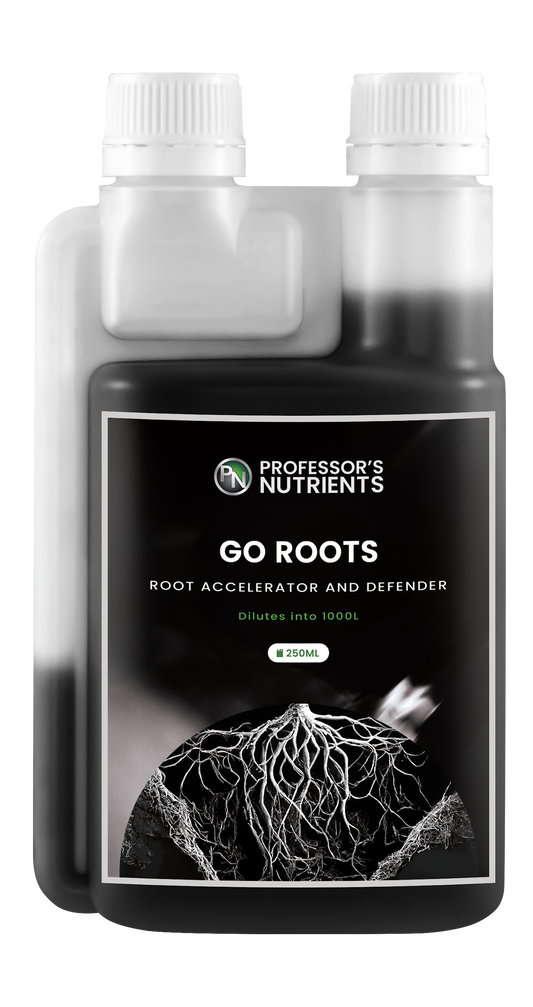 Professor's Go Roots – product image 2