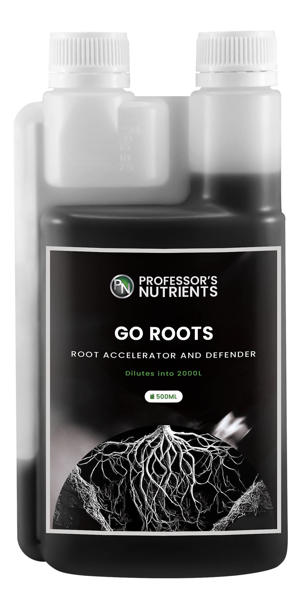 Professor's Go Roots