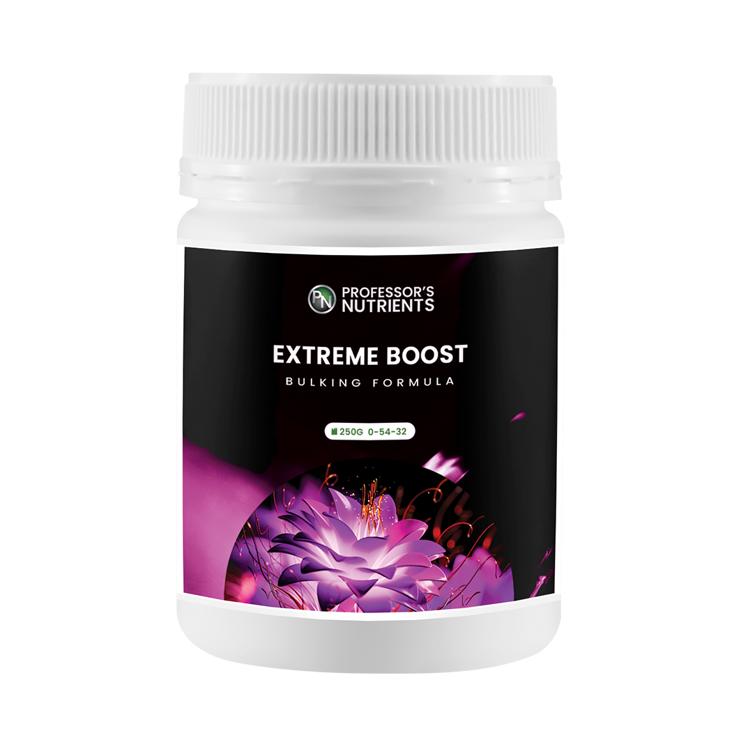Professor's Extreme Boost (1kg)