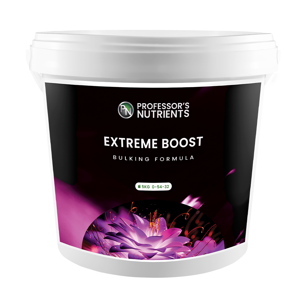 Professor's Extreme Boost (1kg)