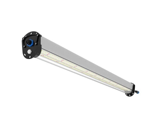 U-Light 100W Under Canopy Light