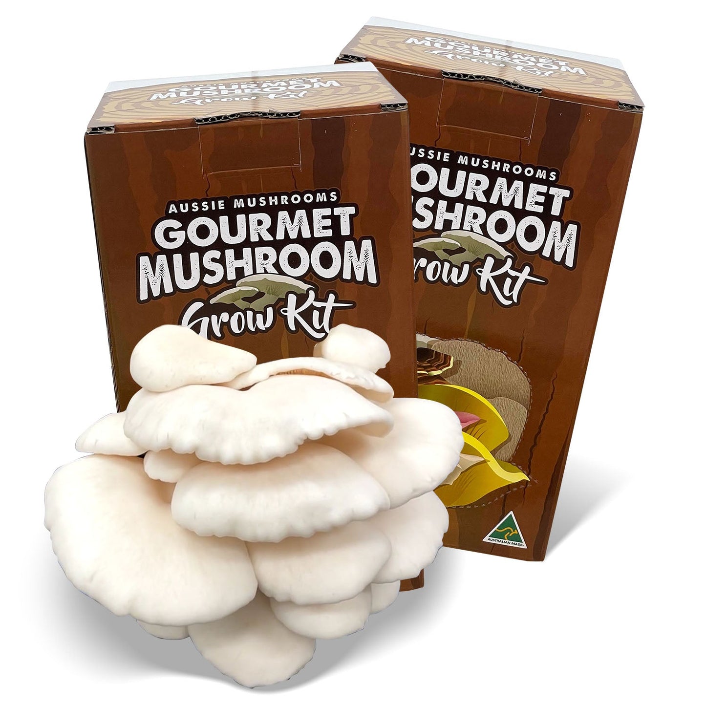 Aussie Mushrooms - Ready To Grow Kit - White Oyster (Pleurotus Ostreatus)