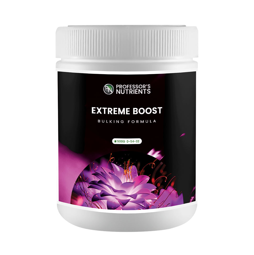 Professor's Extreme Boost (1kg)