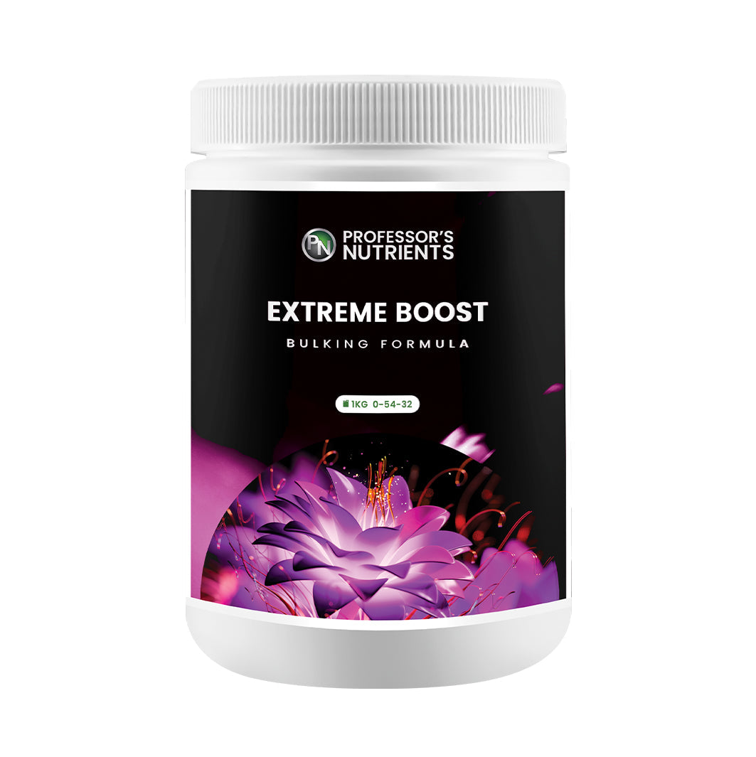 Professor's Extreme Boost (1kg)