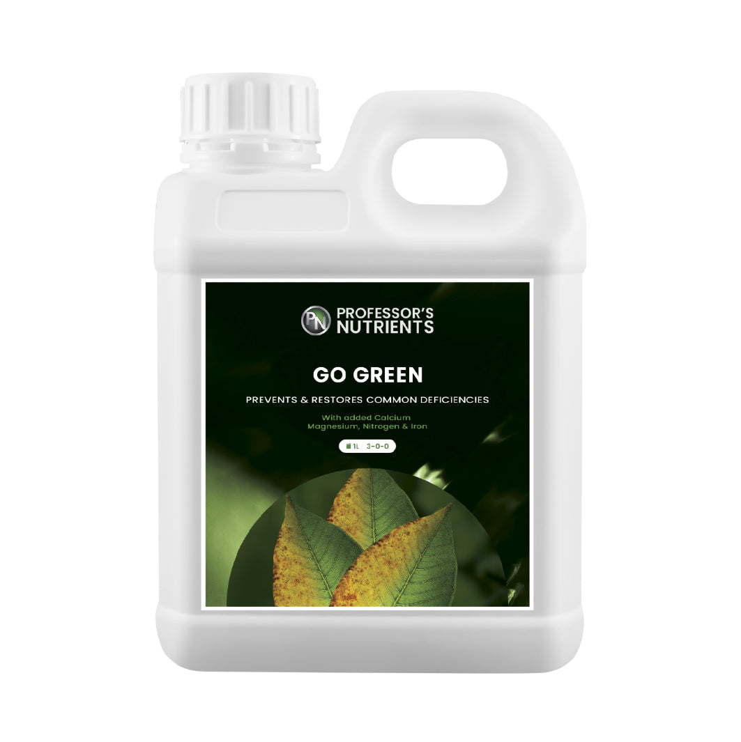 Professor's Go Green