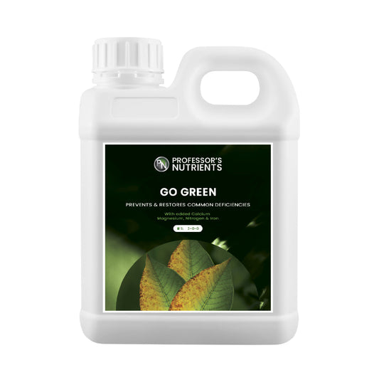 Professor's Go Green