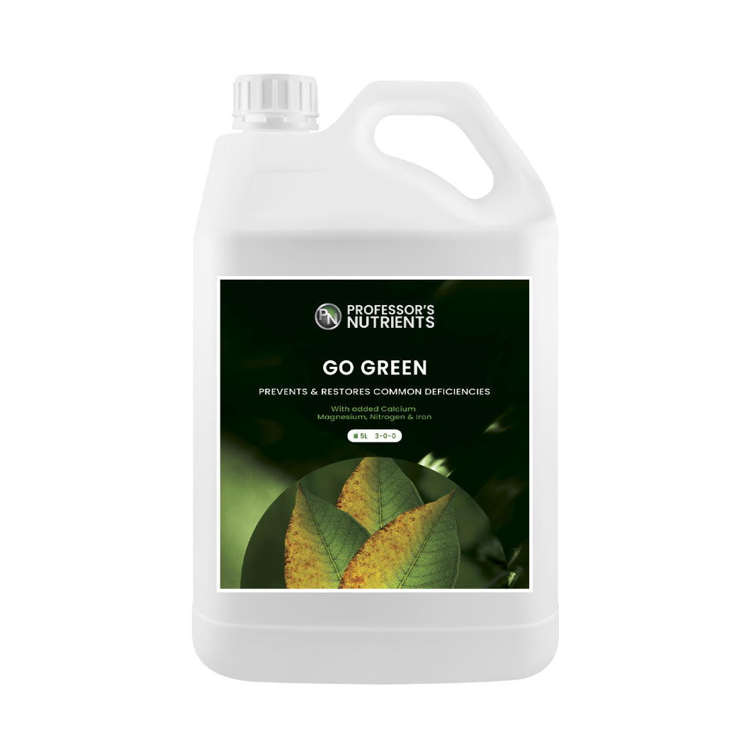 Professor's Go Green