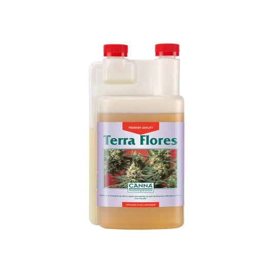 Canna Terra Flores