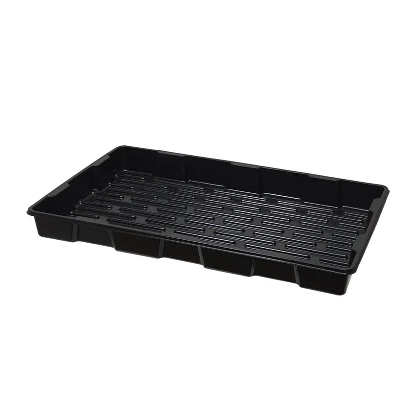 JUMBO PROPAGATOR CLONE TRAY & DOME SET (SUITS CT-77)
