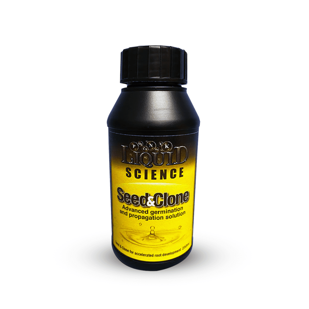 Seed N Clone Solution