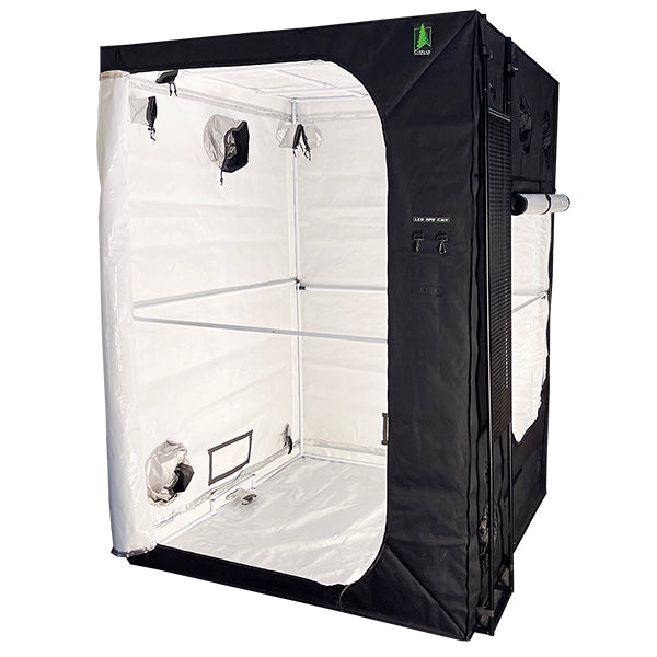 Pinelab Tent 5 x 5